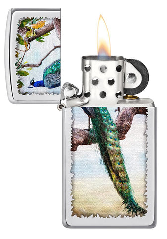 Slim Peacock Design Windproof Pocket Lighter with its lid open and lit.