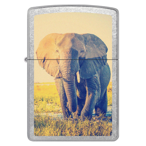 Front shot of Elephant Design Windproof Lighter.