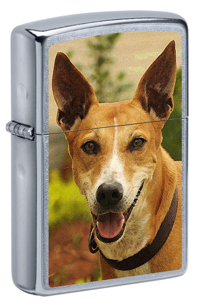 View of Pariah Dog Lighter at 3/4 Angle