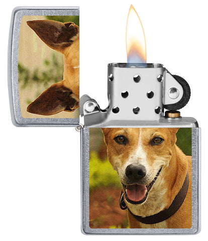 Pariah Dog Lighter open and lit
